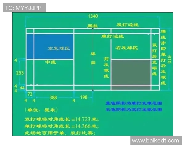 上海羽毛球队在奥运会上的战术表现分析与点评